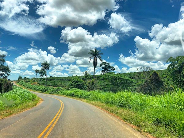 EL Cerrado, Brasil