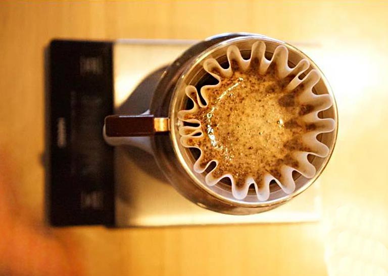 Taller de Métodos de Café en Llama Coffee Roasters
