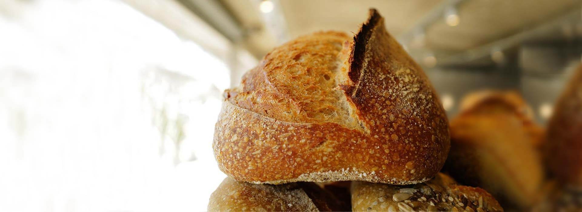 Sourdoughs